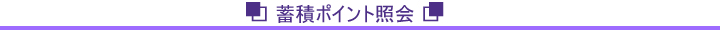蓄積ポイント照会