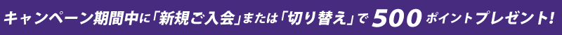 キャンペーン期間中に新規ご入会または切り替えで500ポイントプレゼント！