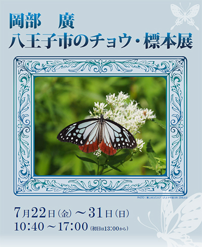 岡部廣 八王子市のチョウ・標本展