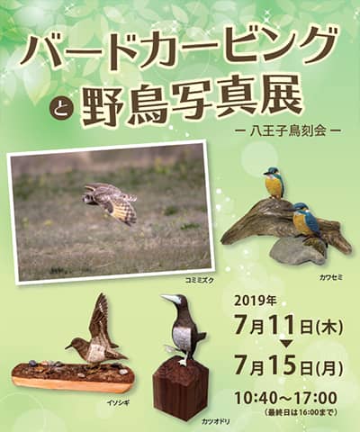 バードカービングと野鳥写真展