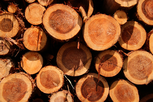 大量生産使い捨ての文化ではなく、木材を始め資源を大切に末永く使える商品の取り扱いを強化しています。