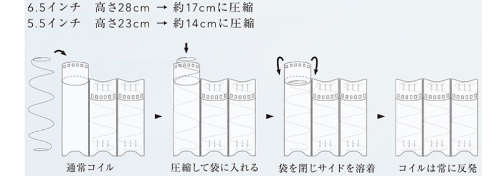 スプリングバリエーション