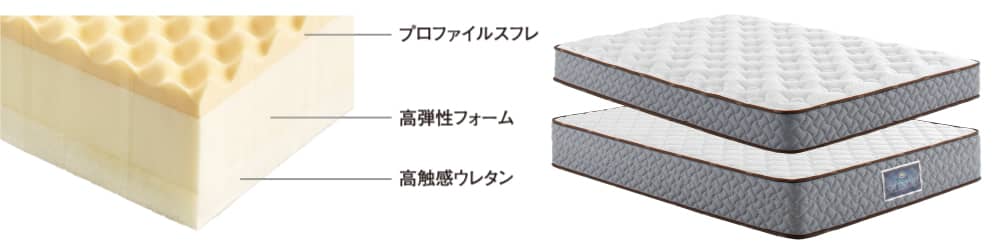 サータ スプレンディッド