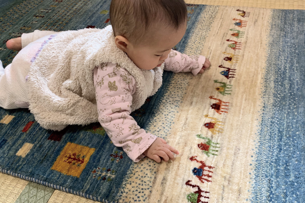 自然と人にやさしい「ゾランヴァリ・ギャッベ」