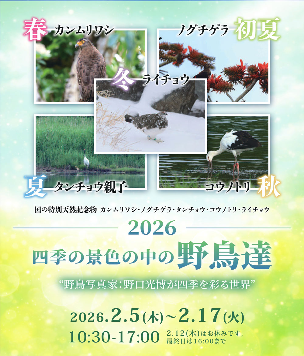 サロン樫の木展示会