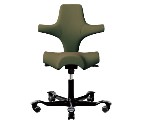 HÅG Capisco (ホーグ カピスコ)