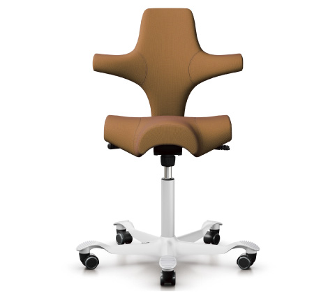 HÅG Capisco (ホーグ カピスコ)