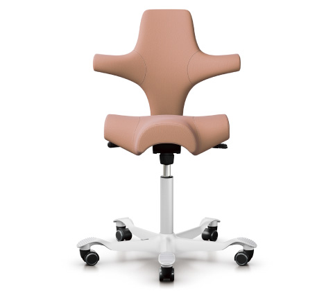 HÅG Capisco (ホーグ カピスコ)