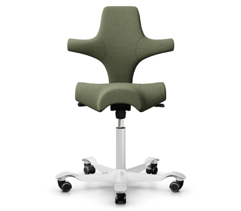 HÅG Capisco (ホーグ カピスコ)