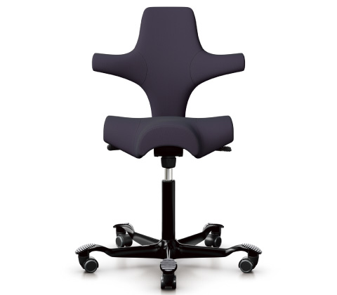 HÅG Capisco (ホーグ カピスコ)