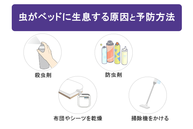 虫がベッドに生息する原因と予防方法