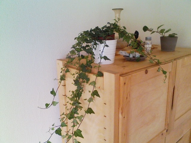 タンス選び方の完全版！プロが教える失敗しないコツとは？