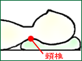 頚椎のカーブをしっかり支えてくれるのがよい枕